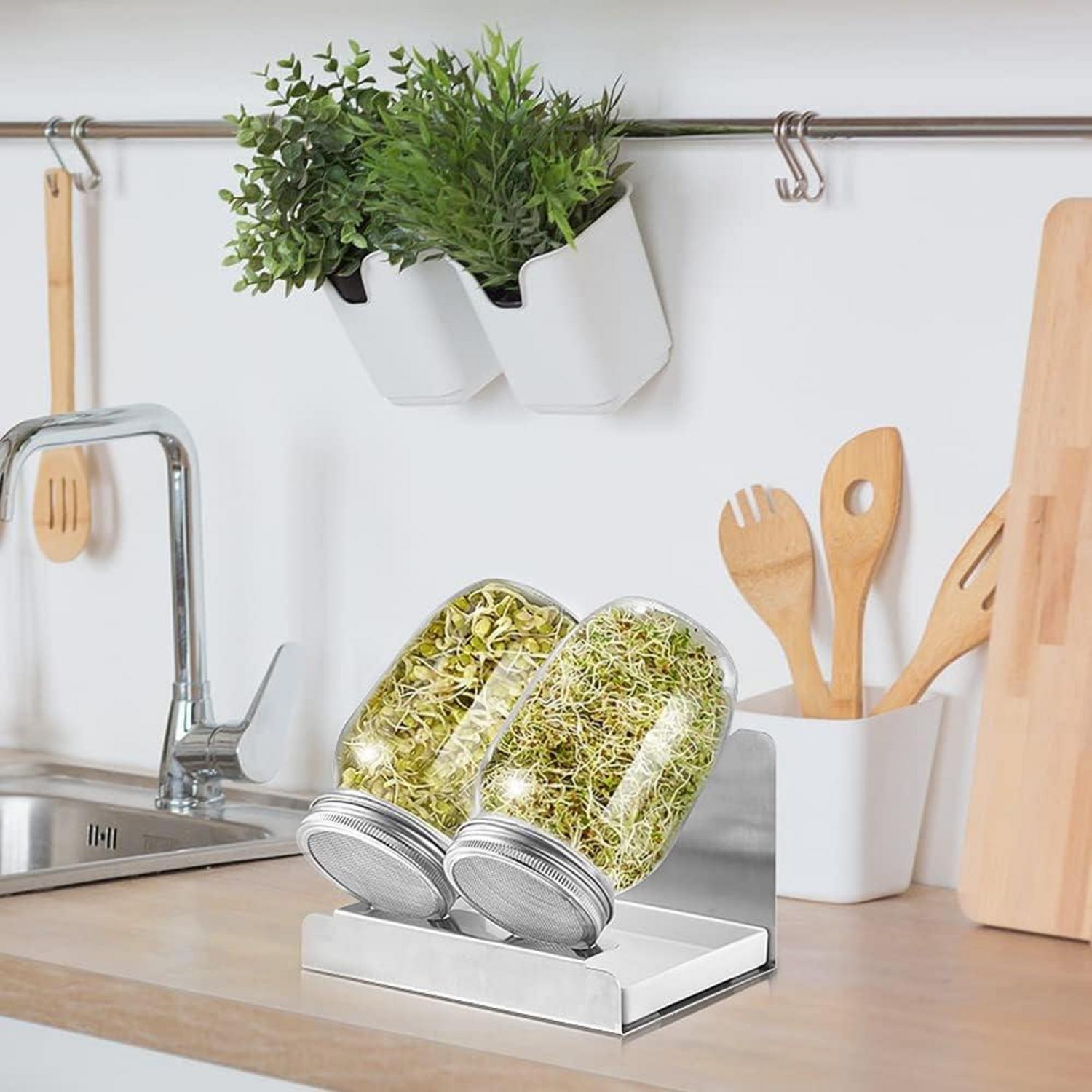 Sprossen Keimglas 1000ml 2er Sprouting jar Glas Edelstahlfilter