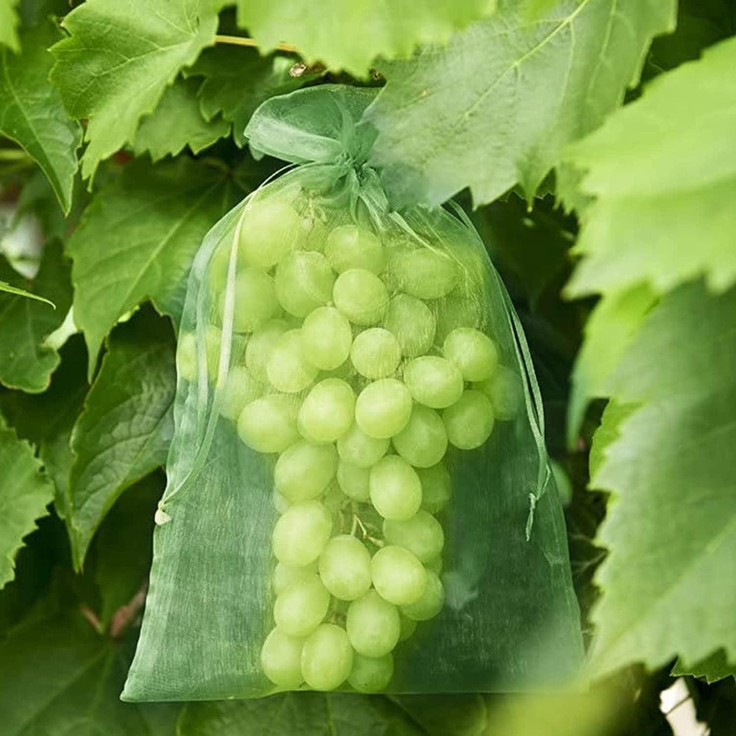 Traubenschutzbeutel 70 Stück 20x30CM Obst Schutzbeutel Weintrauben
