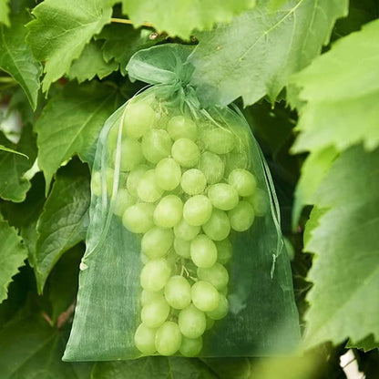 Traubenschutzbeutel 70 Stück 20x30CM Obst Schutzbeutel Weintrauben