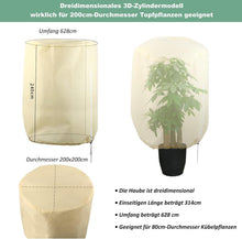 DEWUR 200x200x240cm 80g/m² Frostschutz Kübelpflanzen Palmen