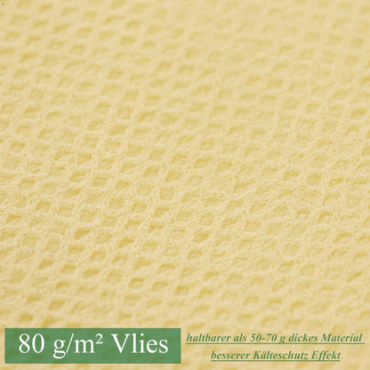 DEWUR 200x200x240cm Winterschutz Kübelpflanzen Frostschutz Palmen Schutzhaube