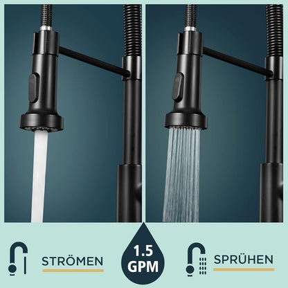 Modern Black Kitchen Faucet Pull Down Sprayer 360° Swivel Twin Spray