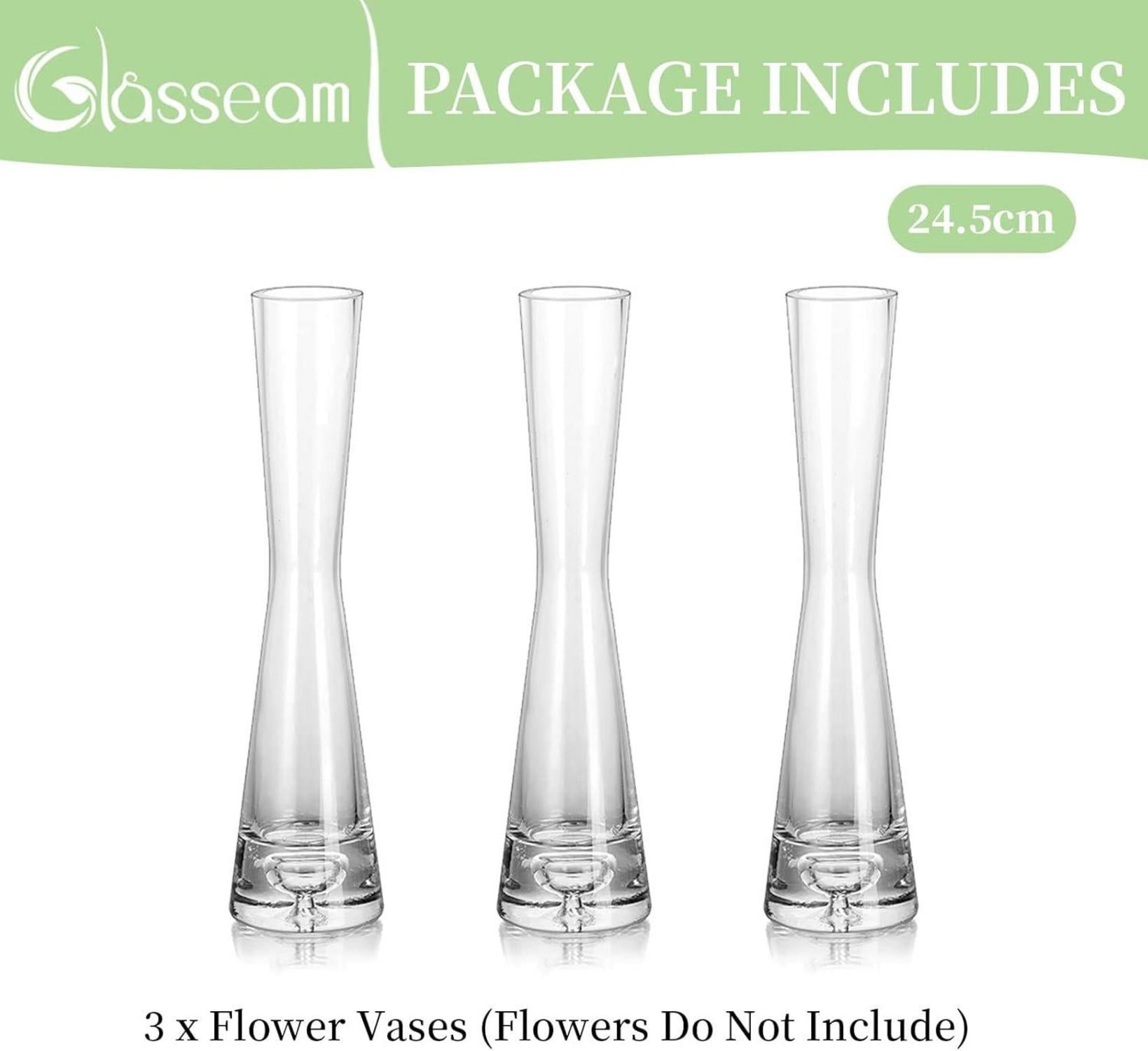 3er Set Handmade Glasvasen 24.5cm Hoch - Schmale Blumenvase für Tulpen