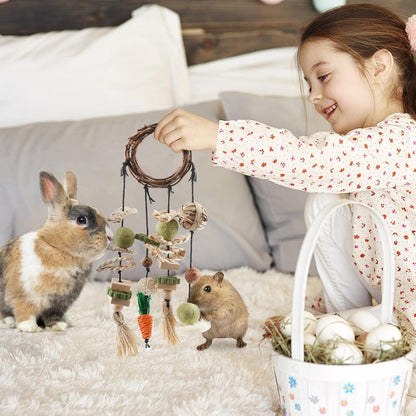 ERKOON Kaninchen Spielzeug Set Hängendes Kauspielzeug