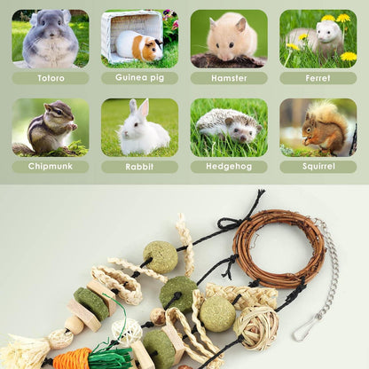 Kaninchen Spielzeug Kauspielzeug Holz Hängendes Set für