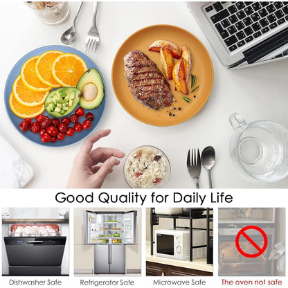 6er Set Kunststoff Picknickteller 22,5cm Unzerbrechlich