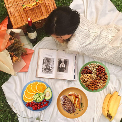 6er Set Kunststoff Picknickteller 22,5cm Unzerbrechlich