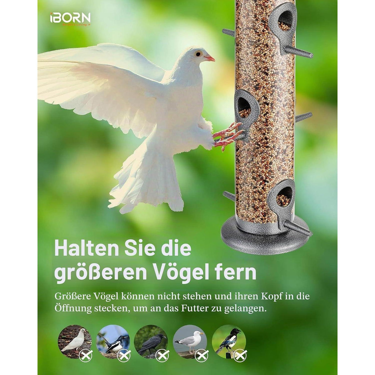 Metall Vogelfutterspender mit 6 Anflugplätzen – Silber