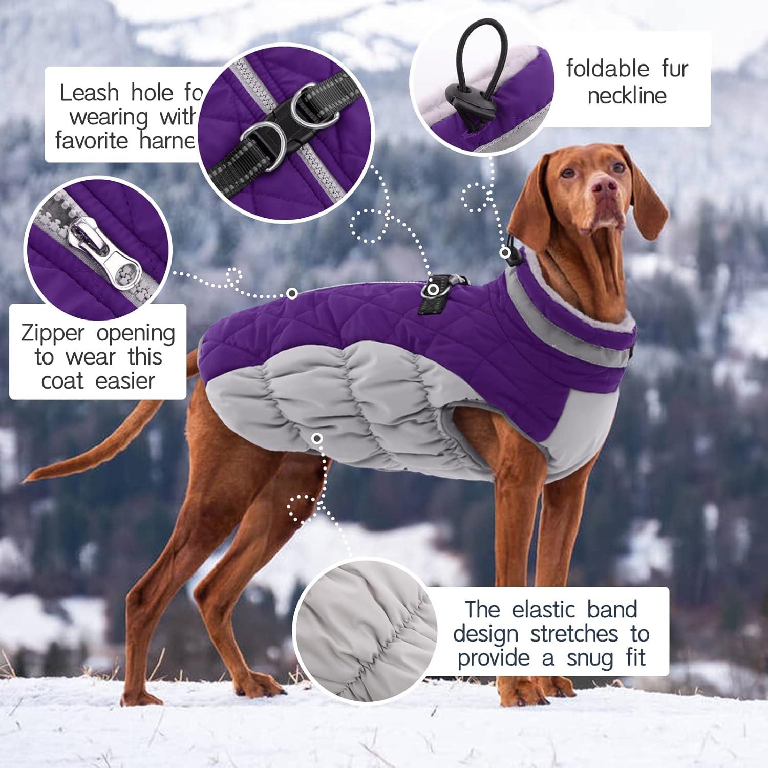 Wasserdichter Hundemantel Winterjacke für Hunde Fleece Gefüttert Lila