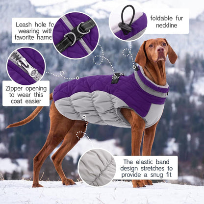 Wasserdichter Hundemantel Winterjacke für Hunde Fleece Gefüttert Lila
