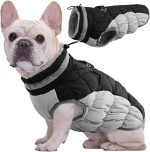 Wasserdichter Hundemantel Winterjacke für kleine bis große Hunde