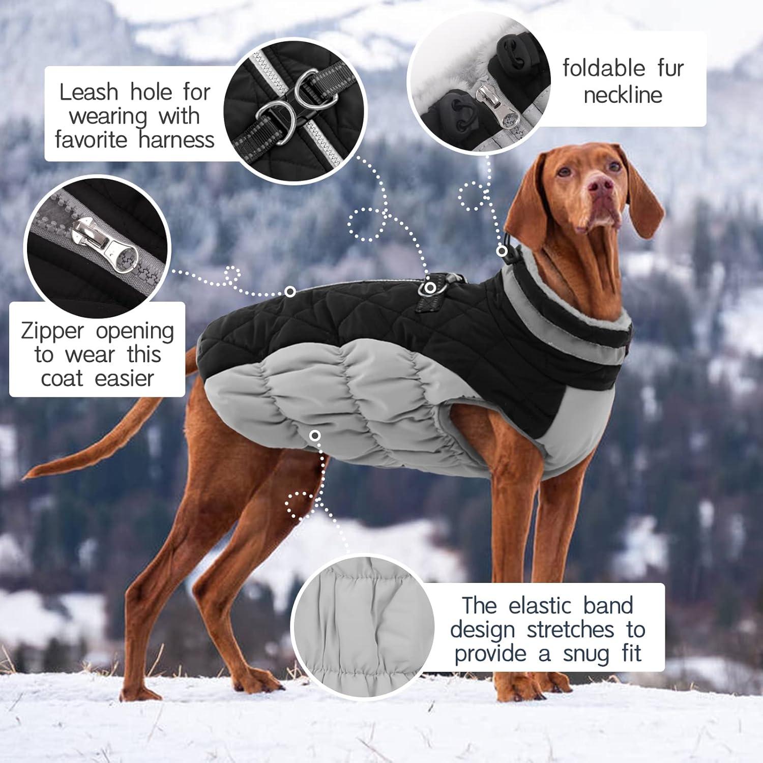 Wasserdichter Hundemantel Winterjacke für kleine bis große Hunde