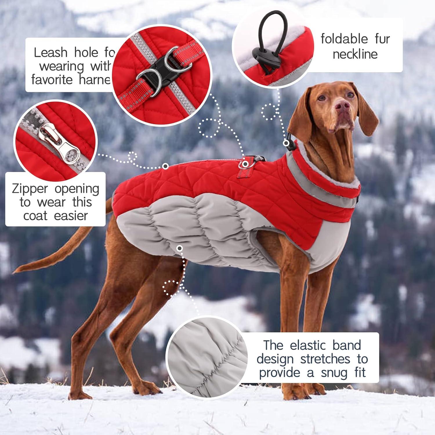 Wasserdichter Hundemantel für kaltes Wetter, warme Winterjacke