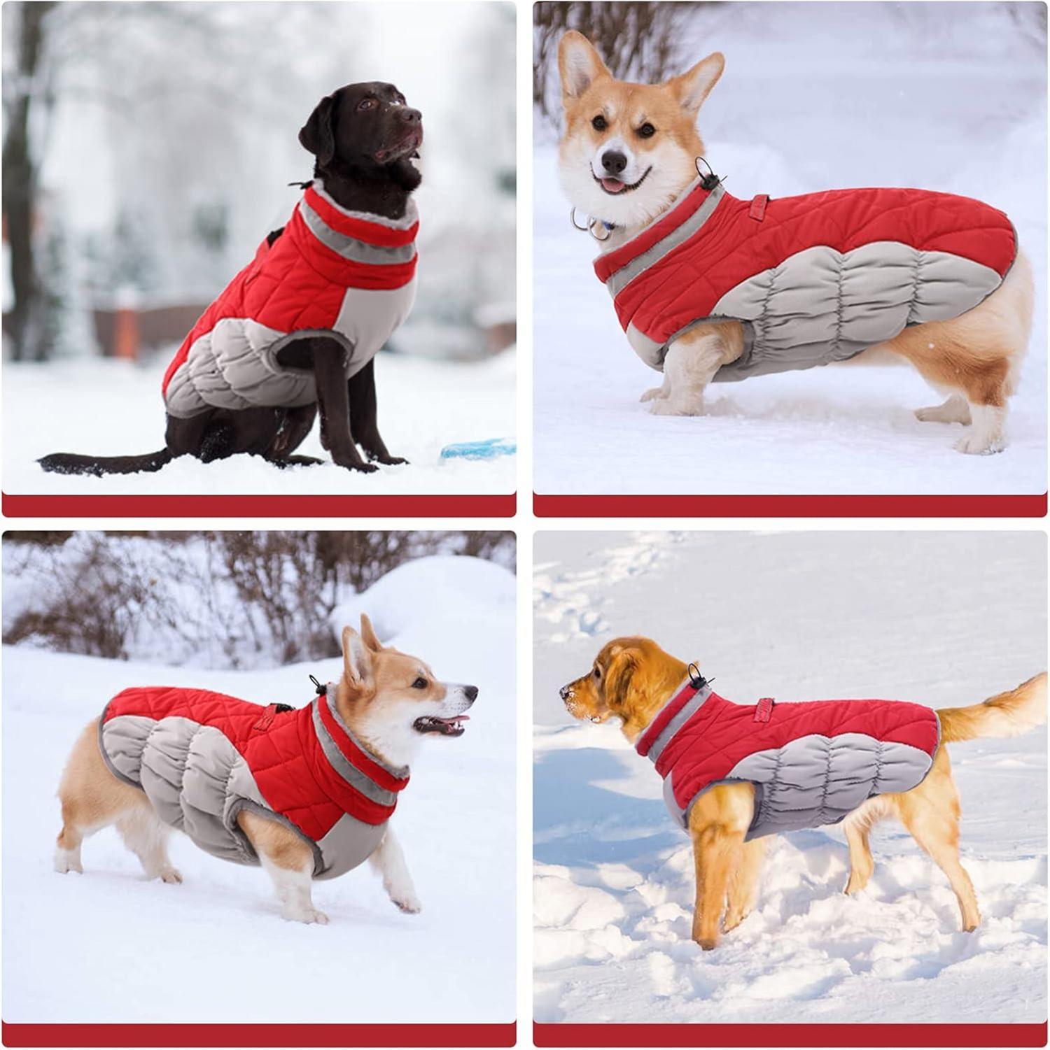 Kuoser Hundemantel Wasserdicht Fleece Gefüttert Welpen Winterjacke Rot S