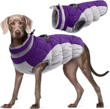 Hundemantel Wasserdicht Winterjacke mit Fleecefutter