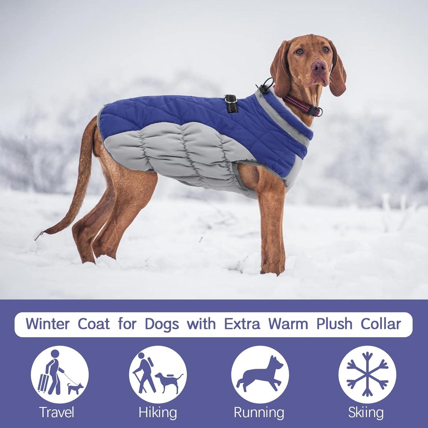 Wasserdichter Hundemantel Blau Winter Warm für Kleine Große Hunde