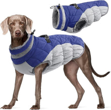 Wasserdichter Hundemantel Winterjacke für Hunde in Blau