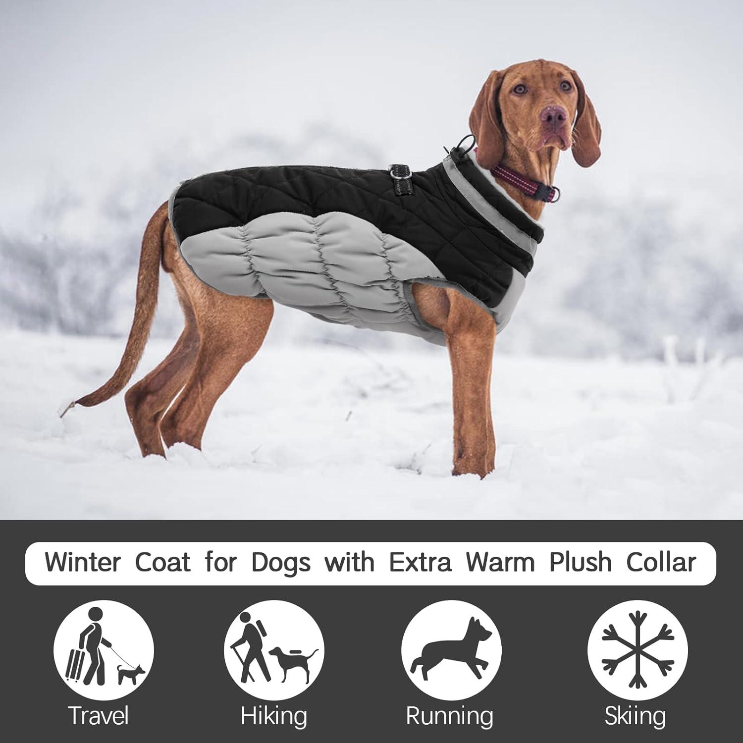 Kuoser Wasserdichter Hundemantel Winterjacke für Hunde mit Fleece-Futter und Reflektoren XS Schwarz