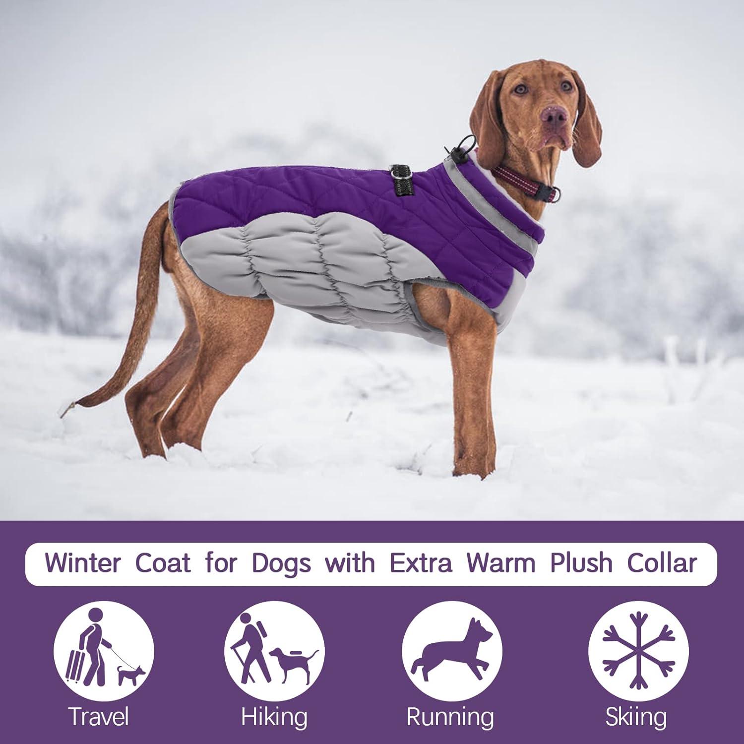 Wasserdichter Hundemantel für Kleine bis Große Hunde, Fleece Gefütterte Reflektierende Winterjacke - Lila - M
