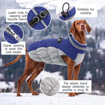 Wasserdichter Hundemantel Winterjacke für Hunde Blau XS-XXXL