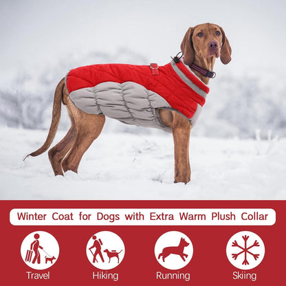 Wasserdichter Hundemantel Winterjacke für Kleine bis Große Hunde Rot XL