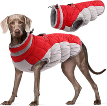 Wasserdichter Hundemantel für kaltes Wetter, Warme Winterjacke