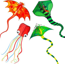 4er-Pack Drachen für Kinder und Erwachsene Outdoor-Spielaktivitäten