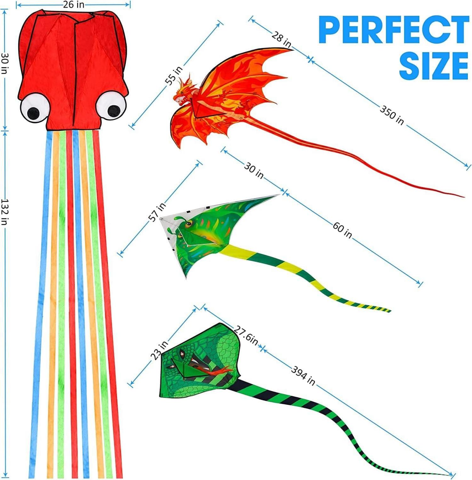 Nazano 4er-Pack Drachenkite Set für Kinder und Erwachsene