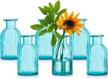 Kleine Blumenvasen Set Glas Vintage Rund Bunt 6