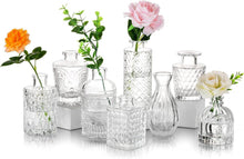 Vintage Glasvase Mini Rosen Pampasgras Deko Set