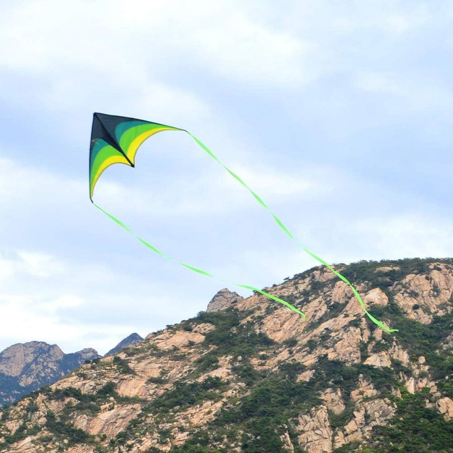 Delta Drachen Flugdrachen für Kinder und Erwachsene, 60'', Grün