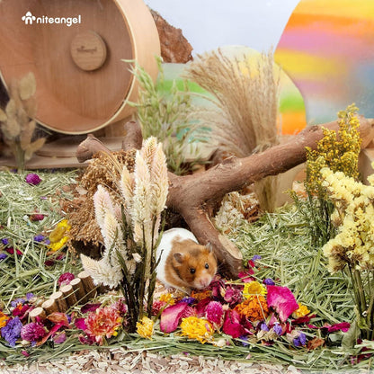 Niteangel Hamster-Einstreu weich Dekoration Zwerg-Hamster Kleintiere