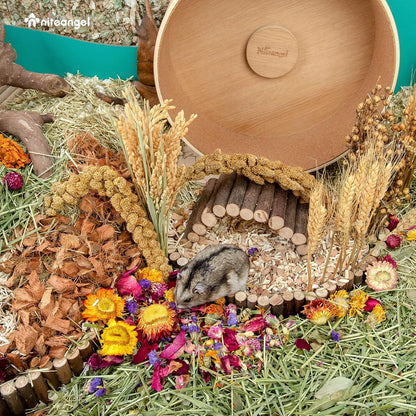 Niteangel Natürliches Hamster-Einstreu Dekoration für syrische Zwerg-Hamster & Kleintiere