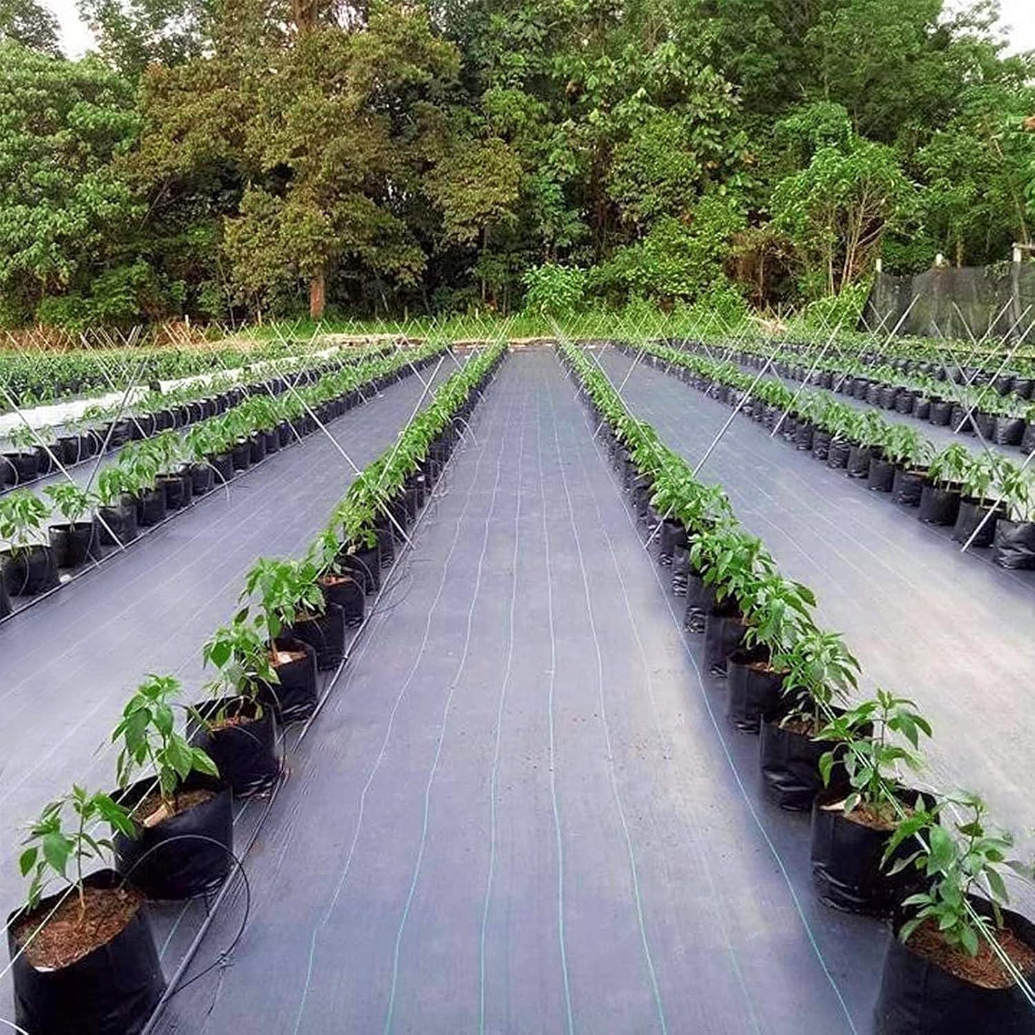 Unkrautschutzgewebe 1m x 25m 100g/㎡ mit 30 Gartenpflöcke