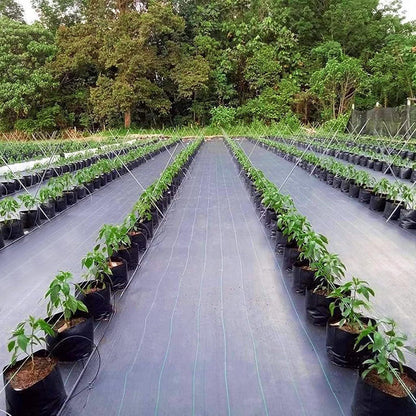 Unkrautschutzgewebe 1m x 25m 100g/㎡ mit 30 Gartenpflöcke