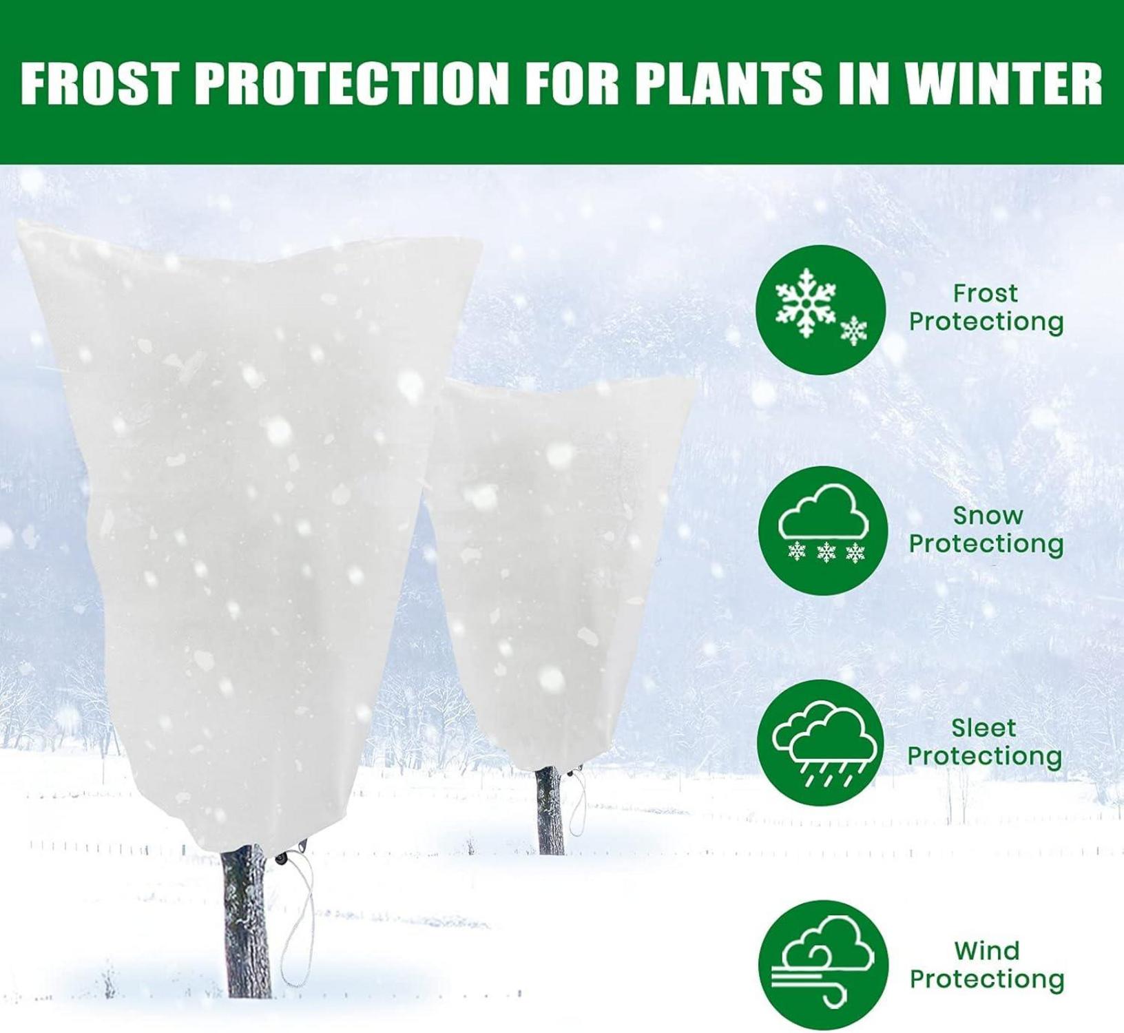 Wintervlies Pflanzenschutz 2er Set 60x80cm Frostschutz