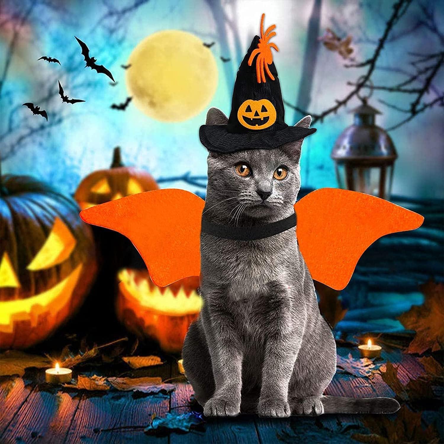 Halloween Haustier Bat Wings Kostüm für Hund Katze - Fledermaus Flügel Kleidung