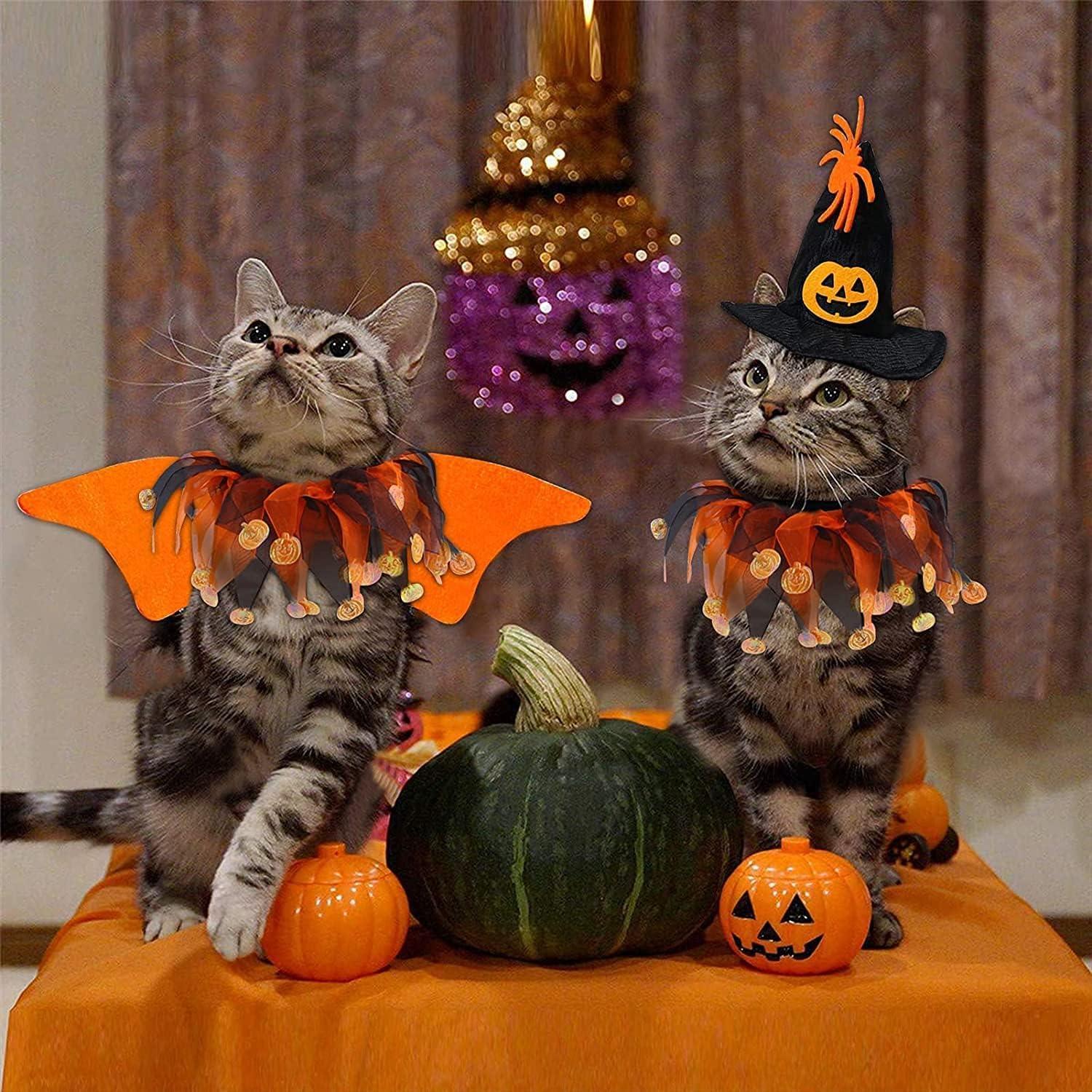 Halloween Haustier Fledermaus Flügel Kostüm für Katze Hund
