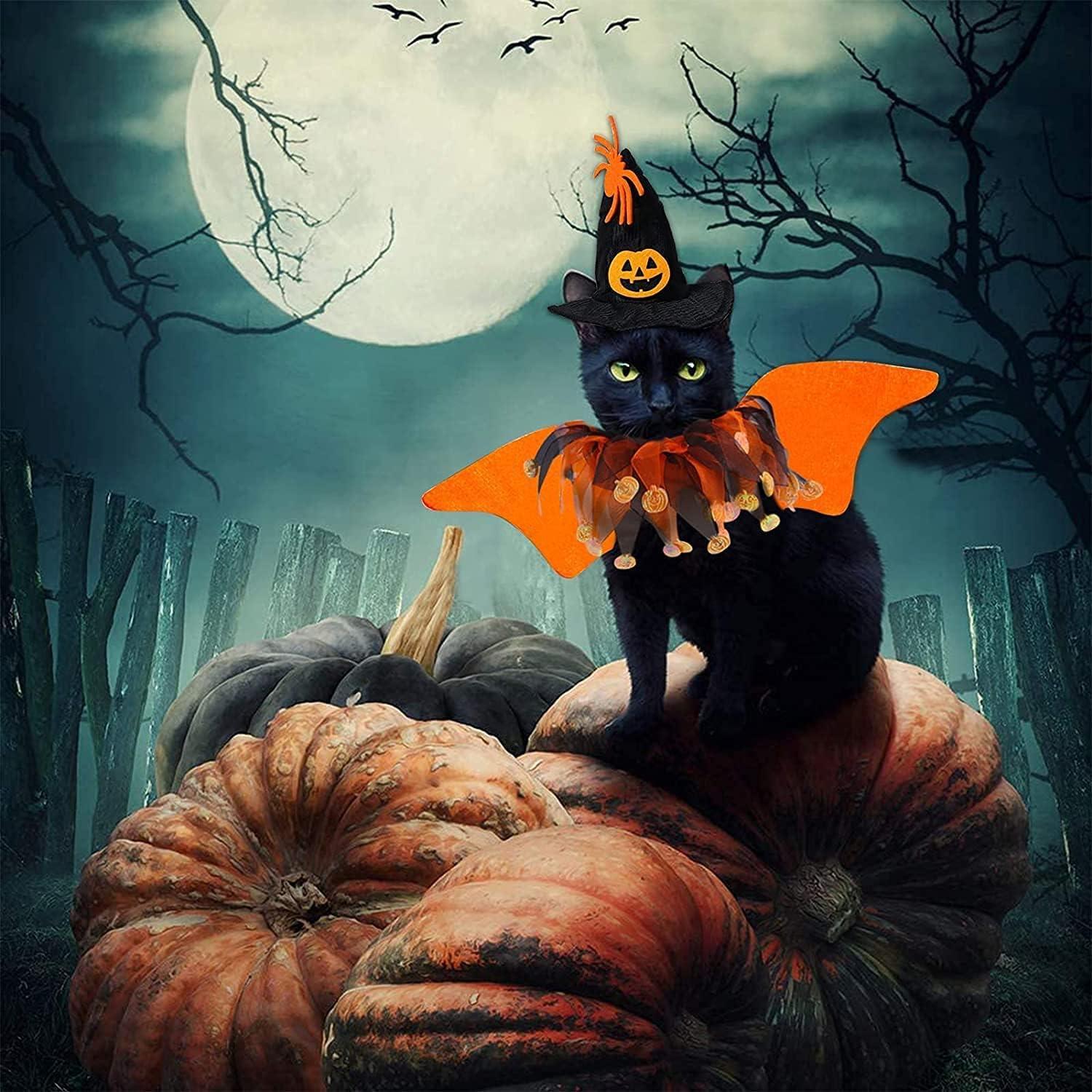Halloween Haustier Bat Wings Kostüm für kleine Hunde und Katzen