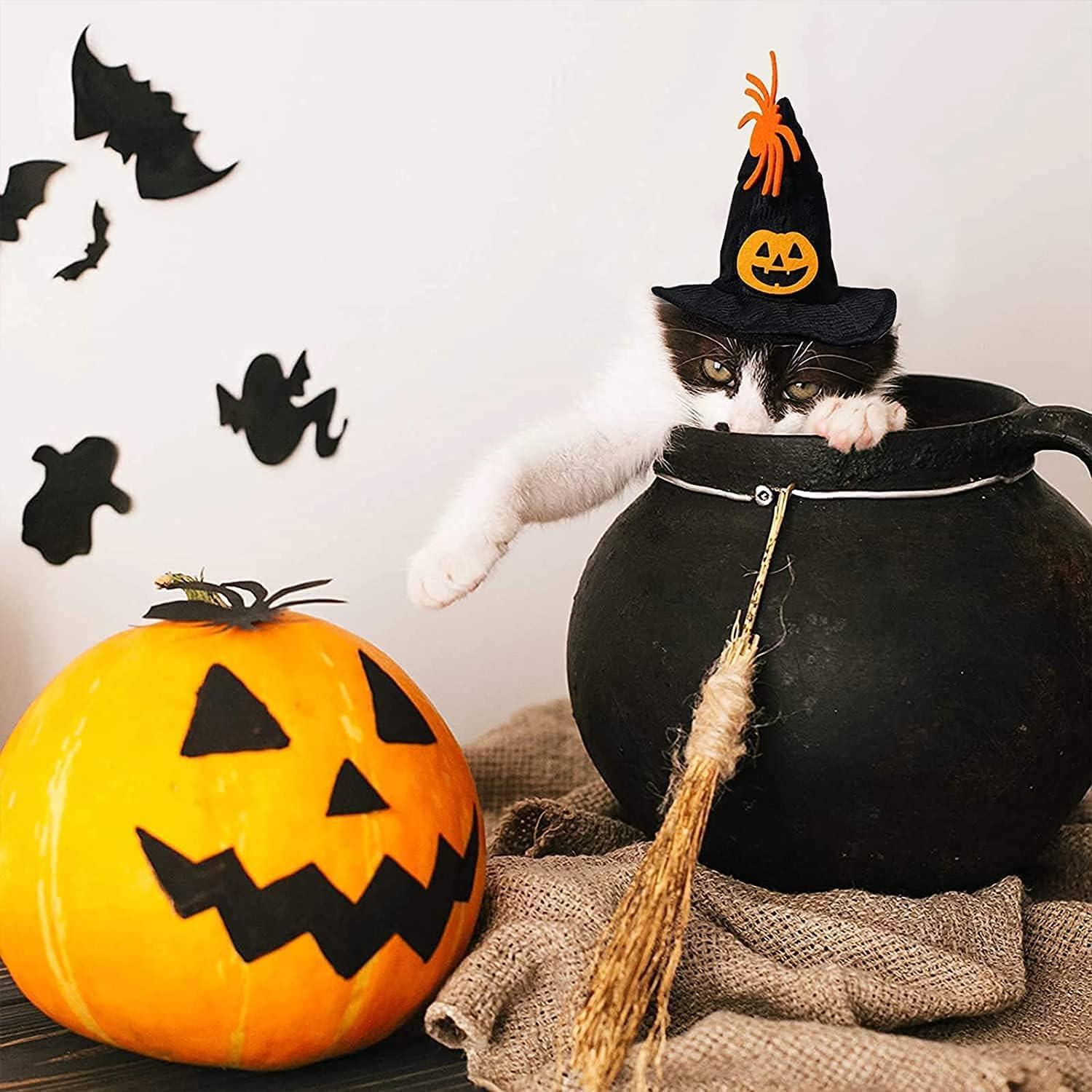 Halloween Haustier Fledermaus Flügel Kostüm für Katze Hund