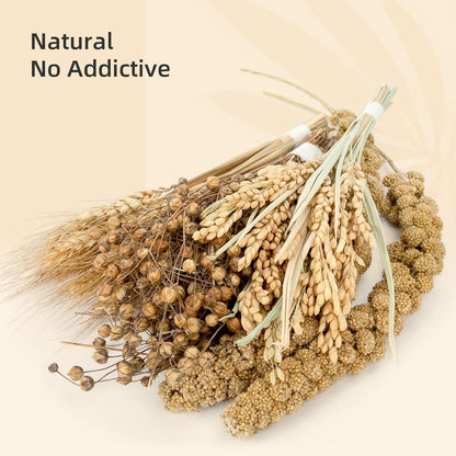 Niteangel Natürliches und Weiches Hamster-Einstreu für Zwerg-Hamster, Gerbils, Mäuse, Degus