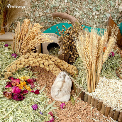 Natürliches und weiches Hamster-Einstreu mit getrockneten Blumen