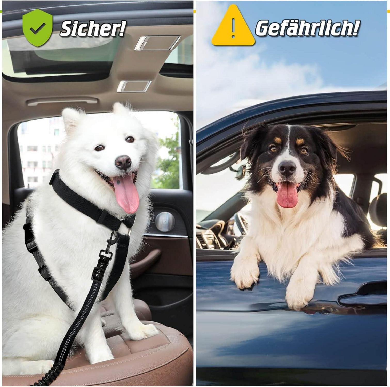 Hundegurt fürs Auto 2 Stück Sicherheitsgurt Einstellbarer