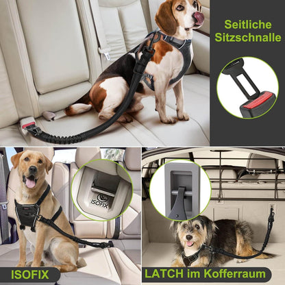 Hundegurt Auto 2er Set Sicherheitsgurt für Kleine Große Hunde