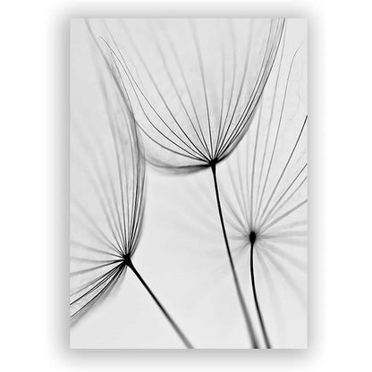 3-teiliges Poster Set Blume Feder Löwenzahn 40x60cm