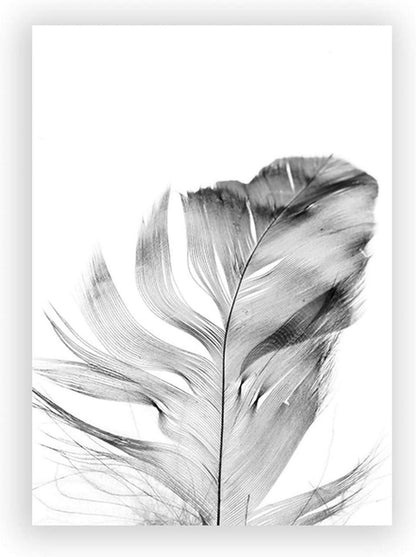 3er Poster Set Blume Feder Löwenzahn Schwarz Weiß 50x70cm