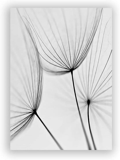 Trayosin 3-teiliges Premium Poster Set moderne ästhetische Blume Feder Schwarz