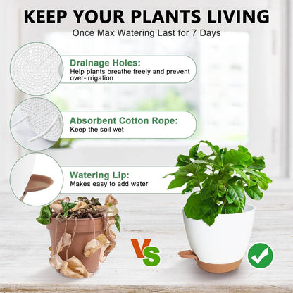 Blumentopf mit Bewässerungssystem 5x Selbstbewässerung