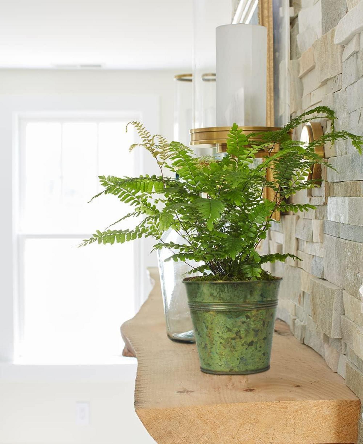 6er Set Hängende Blumentöpfe aus verzinktem Stahl - Modernes Design für Balkon und Garten