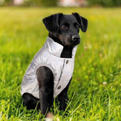 Hunde Wintermantel wasserdicht & winddicht – warm & bequem (Silber, S)